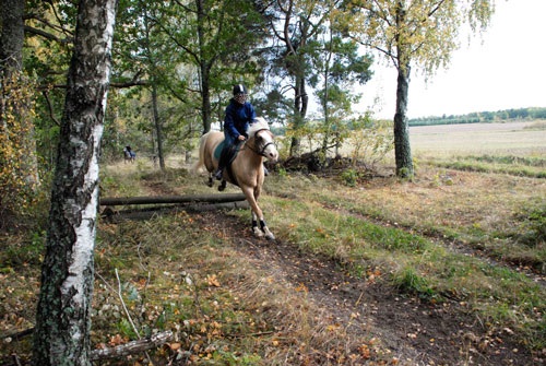 nyridning kottskogen 0355